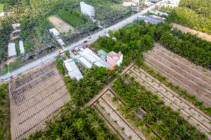 Untitled 0028 300x200