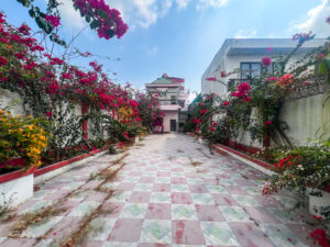 Untitled 5240 300x225